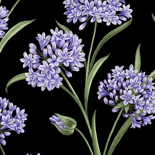 Whispering Lilies - Fern Medley Black main image 0