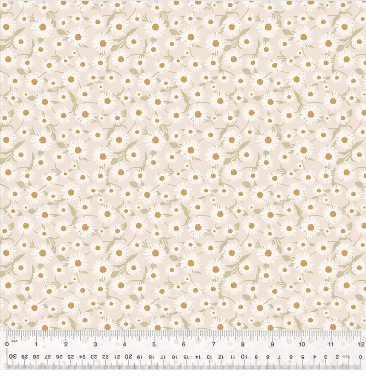 Screenshot 2025-08-13 at 11.17.13 AM.png