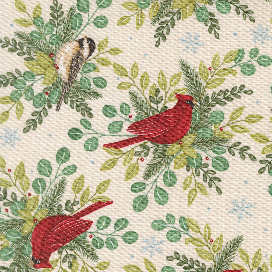 When Snow Falls Winter Birds Snowy White