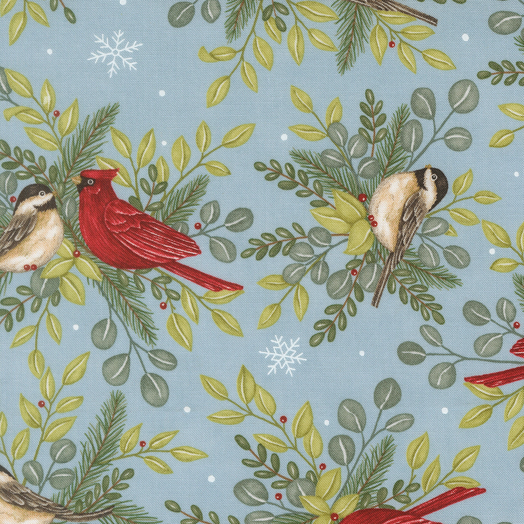 When Snow Falls Winter Birds Winter Sky