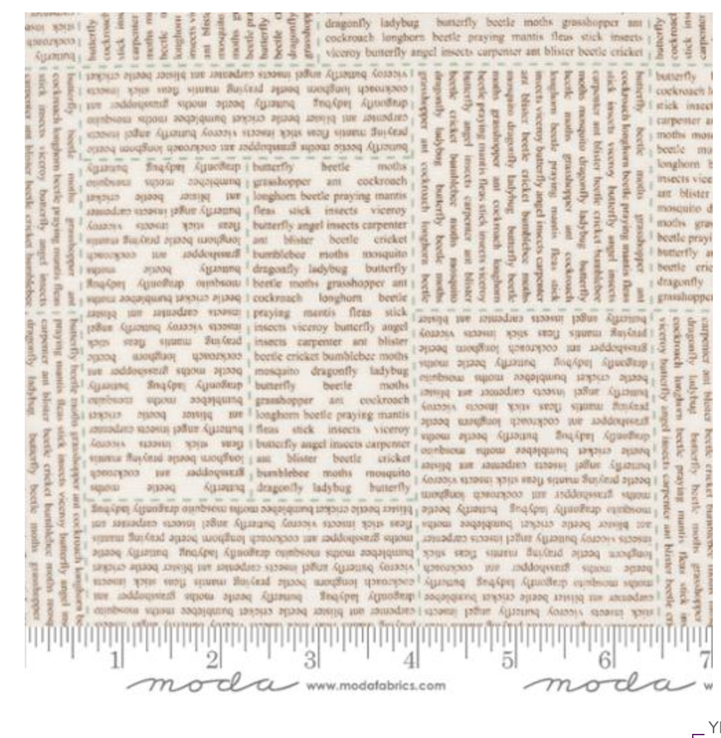 Bug Collector-Cloud Dirt-In The News Text and Words