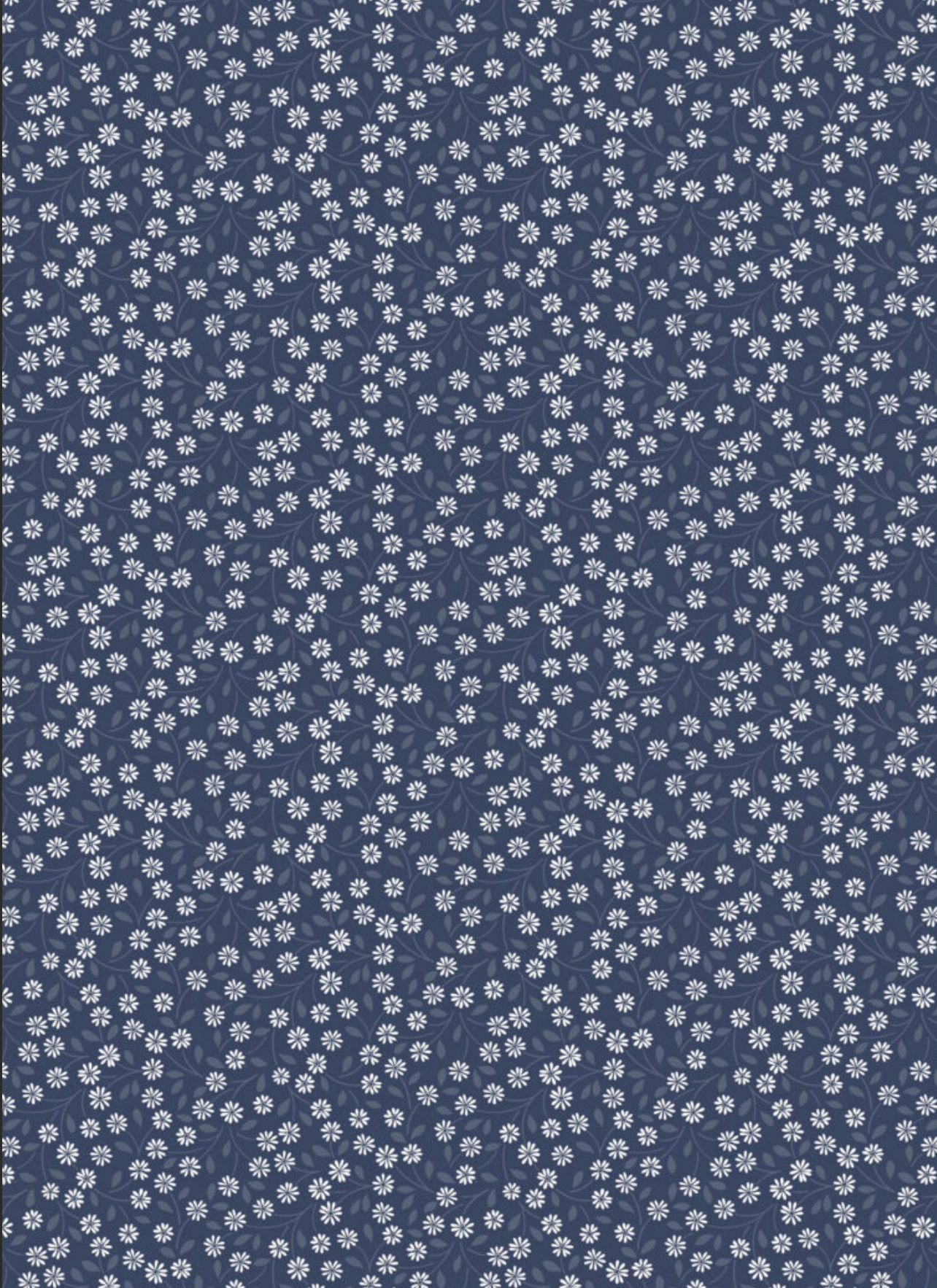 Screenshot 2025-08-15 at 11.46.38 AM.png