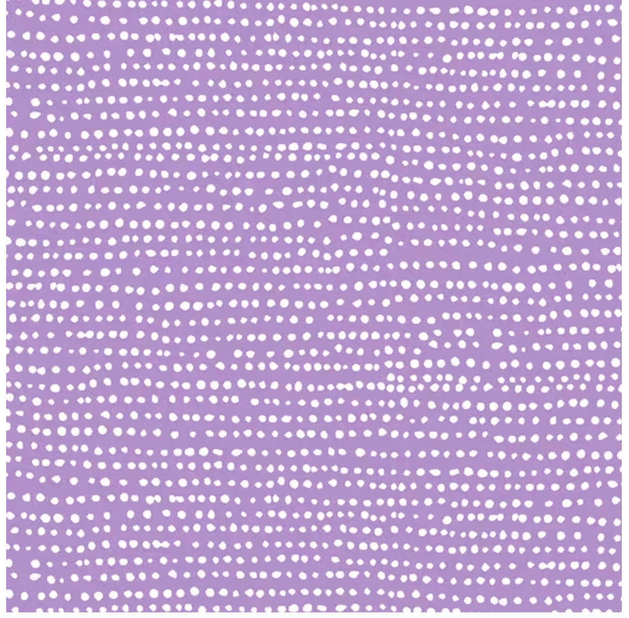 Screenshot 2026-02-11 at 12.17.18 PM.png