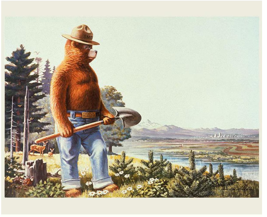 Screenshot 2025-06-11 at 9.16.00 AM.png