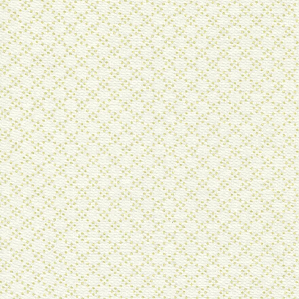 EvoShopify_213207.jpg
