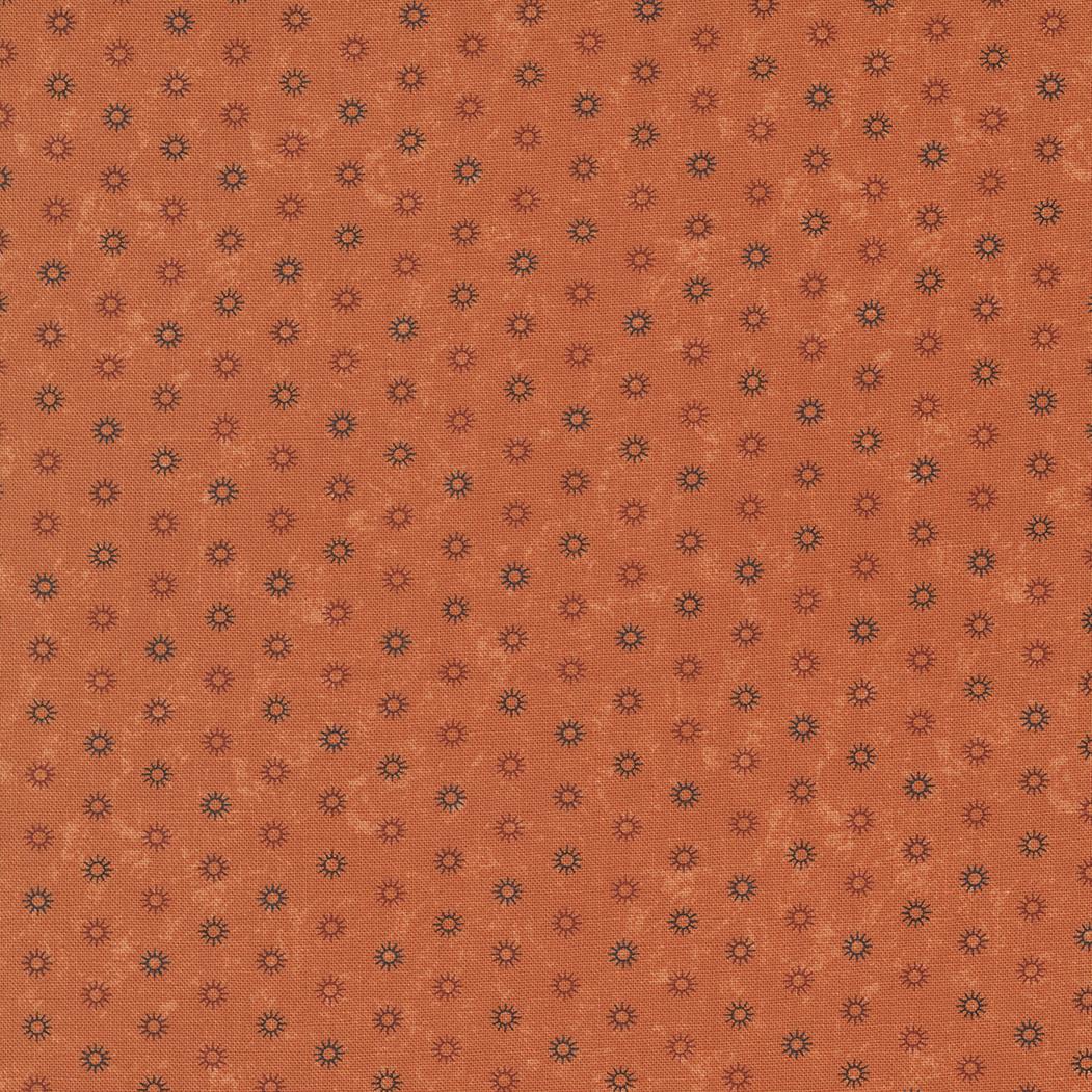 EvoShopify_216124.jpg