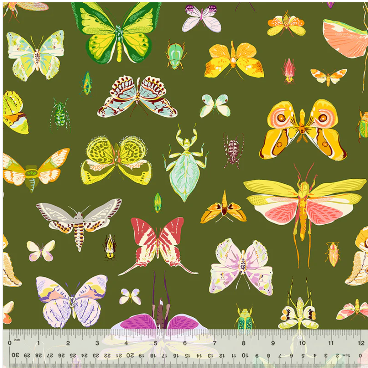 Screenshot 2025-10-08 at 12.42.50 PM.png