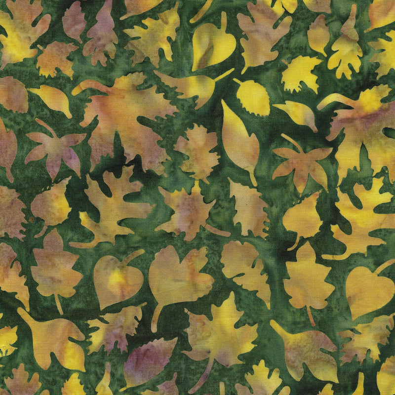 Sandlewood-Leaves-Green PIne
