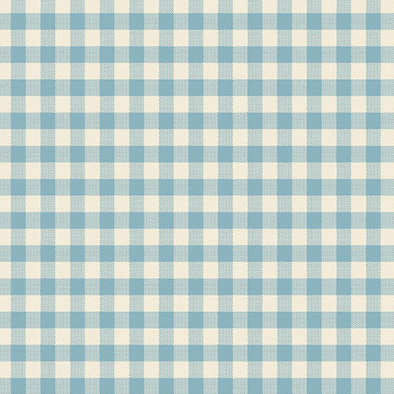 Special Delivery Gingham Chambray