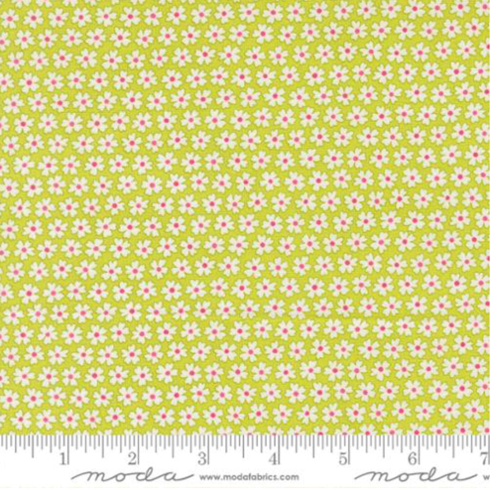 Screenshot 2025-10-23 at 12.06.08 PM.png