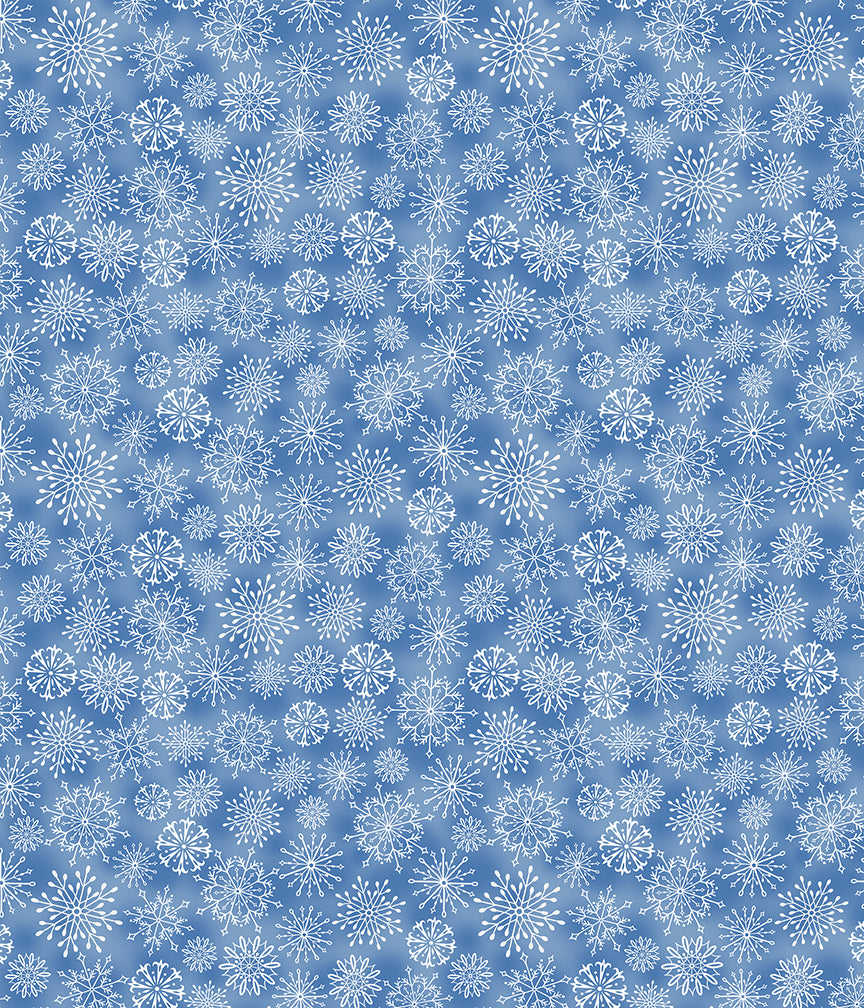 14990-54.jpg