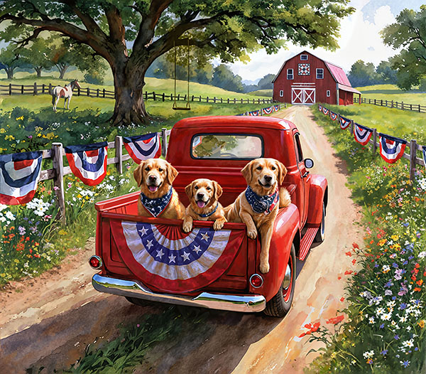 X5758-209-Patriotic 42.5 x 38.5.png