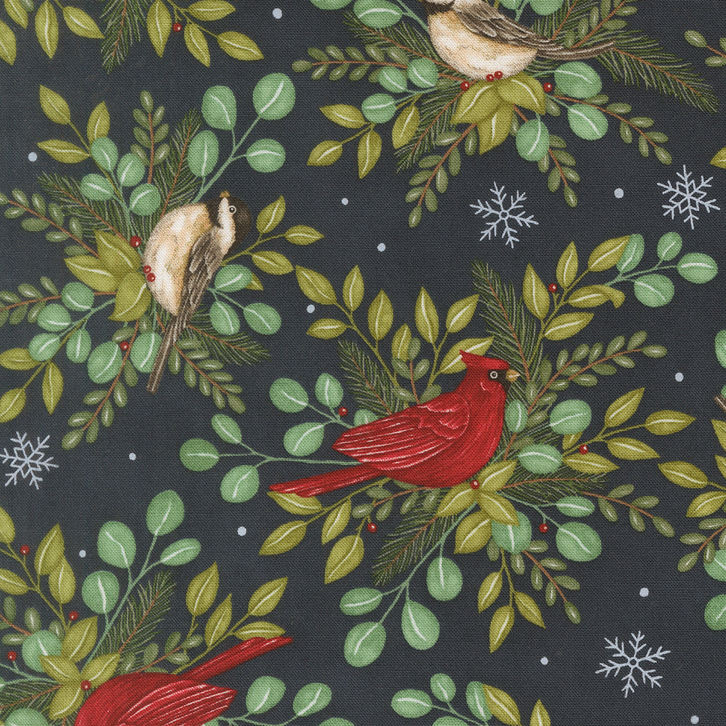 When Snow Falls Winter Birds Night Sky