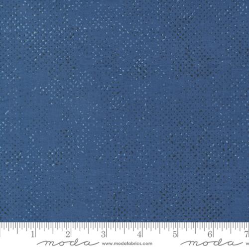 SPOTTED Bluish-Blueprint
