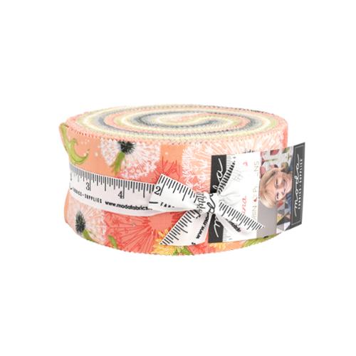 Dandi Duo-Jelly Roll