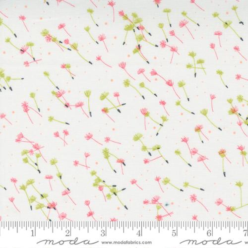 Dandi Duo-Flyaway Seeds Blenders-Cream
