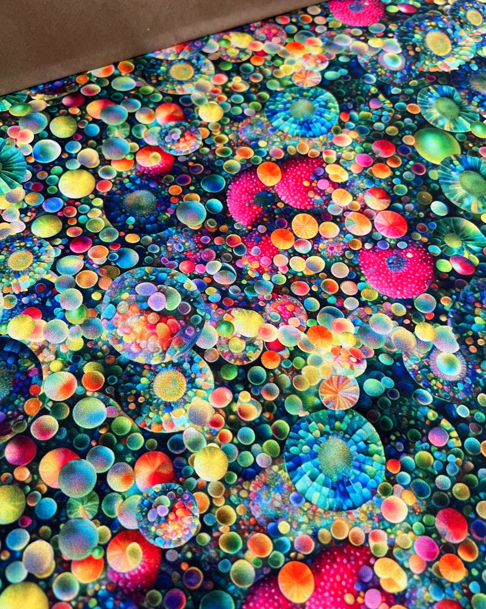 Screenshot 2026-02-19 at 2.39.06 PM.png