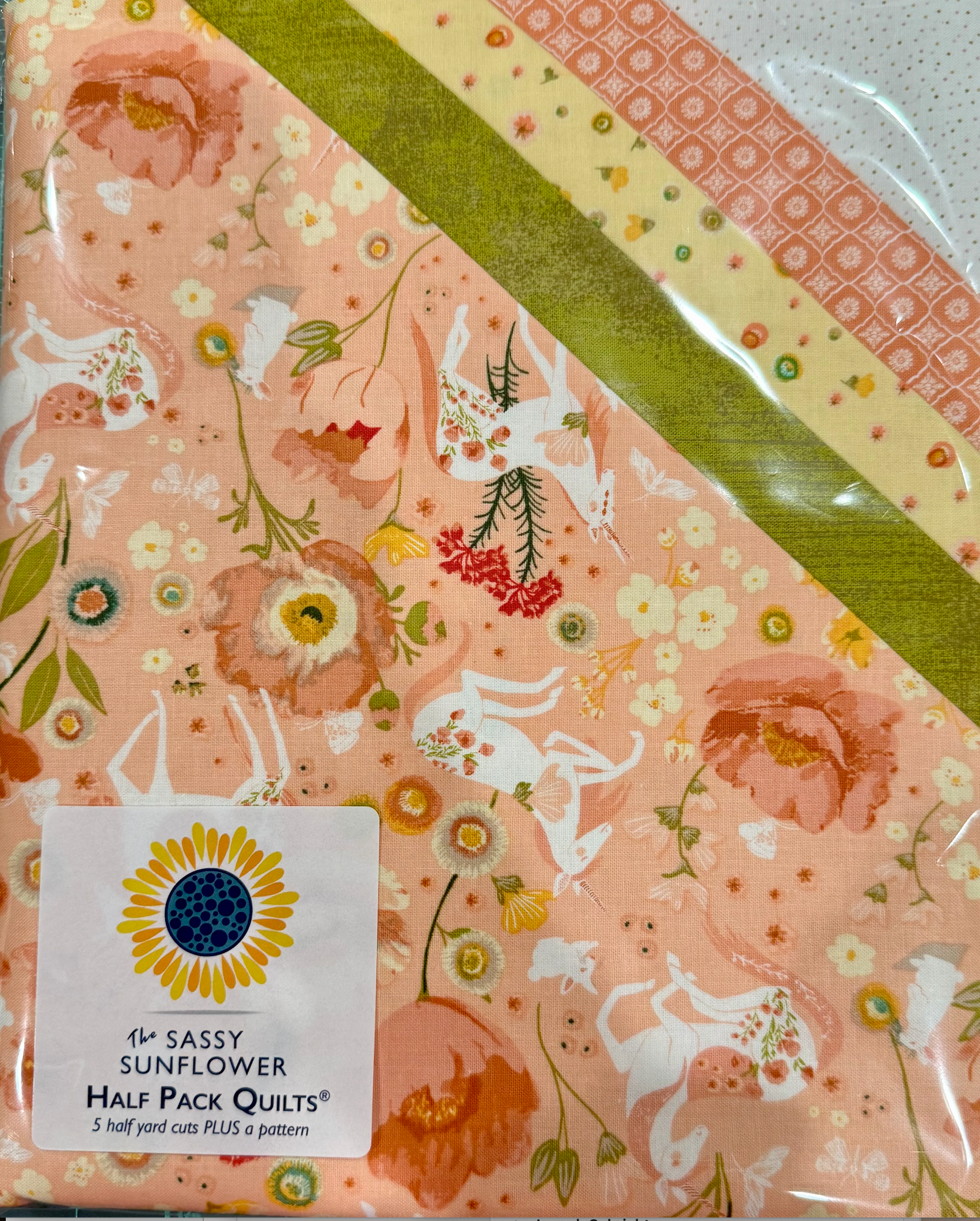 Screenshot 2026-01-13 at 1.03.05 PM.png