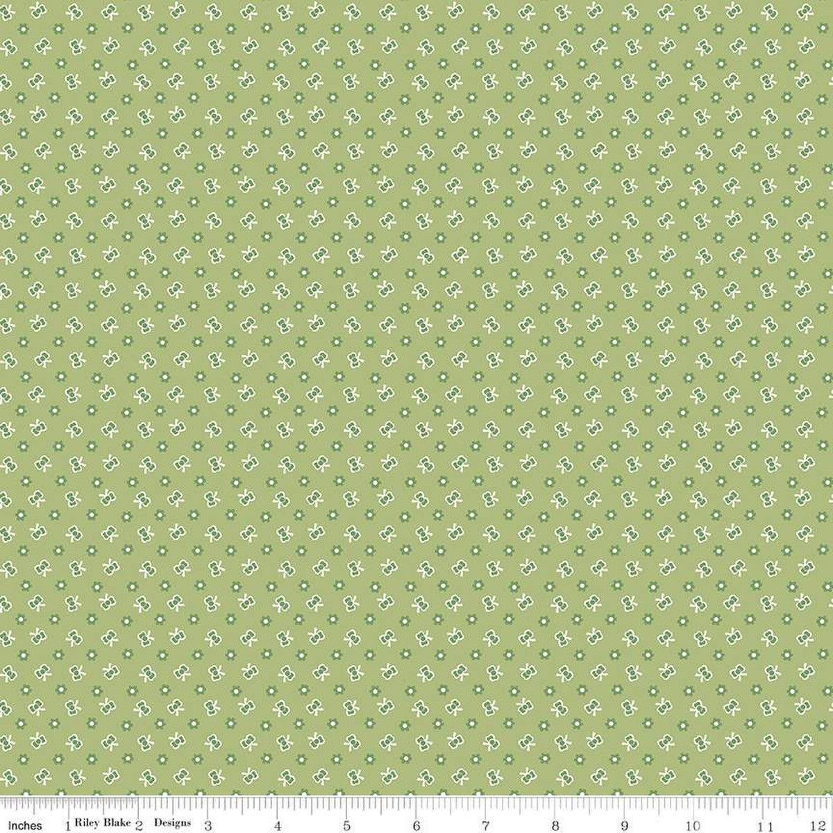 C13587-LETTUCE_media-1_1.jpg