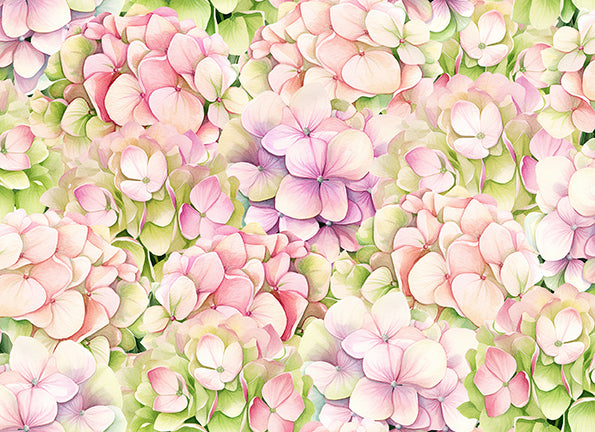 2026 All South East Shop Hop - Hydrangeas