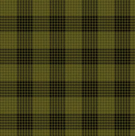 Primo Plaids Flannel Rich & Rustic Olive Gingham