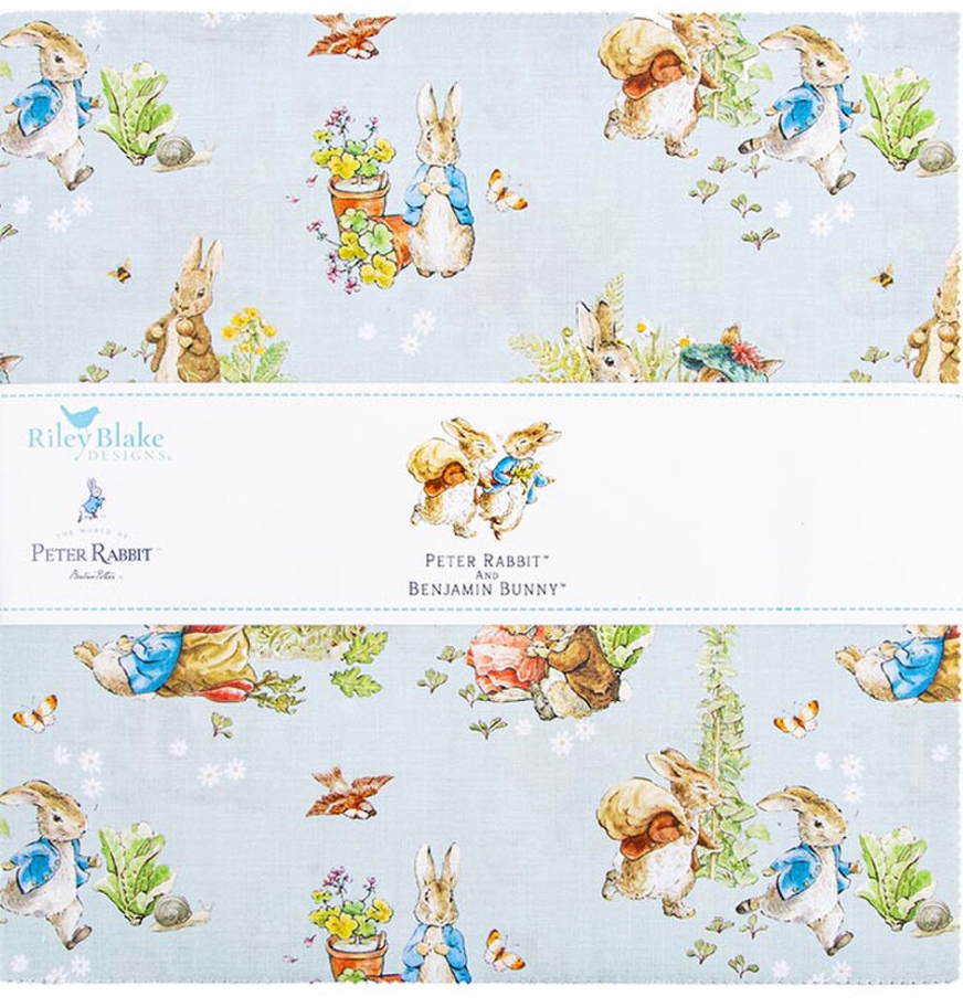 Peter Rabbit and Benjamin Bunny 10" Stacker-42 pcs