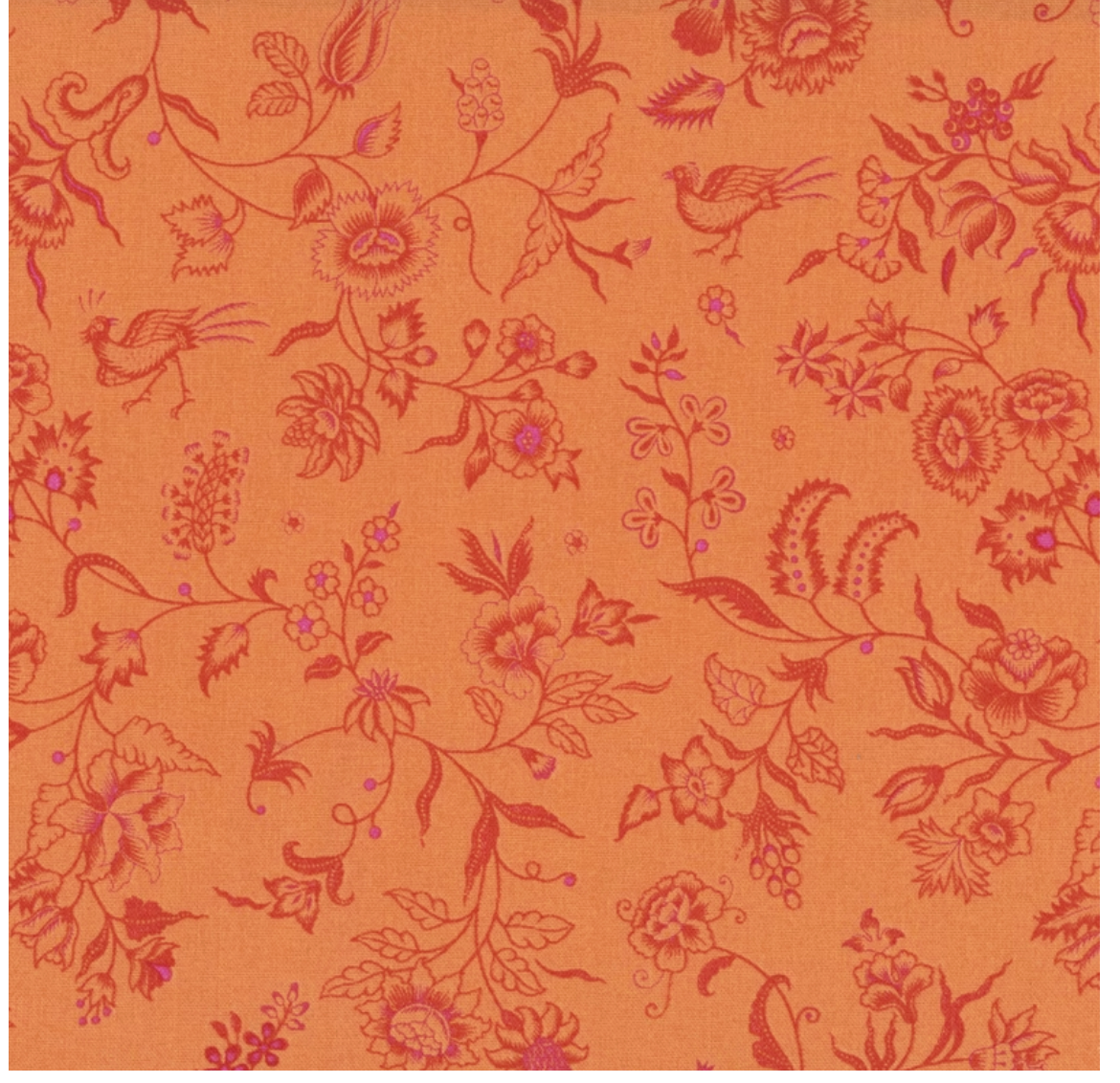 Kipling Gardens-Orange