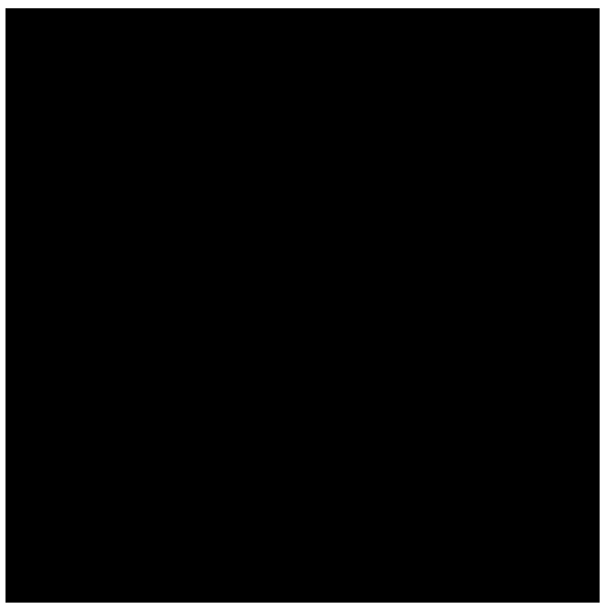 Black Solid