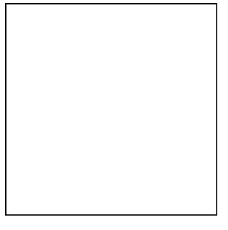 White Solid