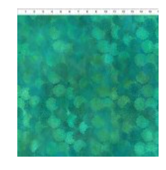 Dear Clara-Teal Mums