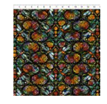 Dear Clara-Dragonflies-Multi