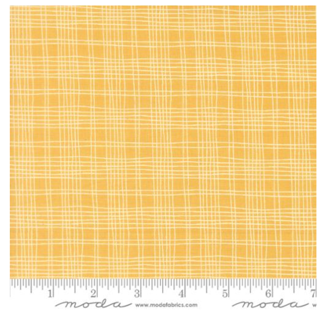 Bug Collector-Sunshine Plaid and Checks