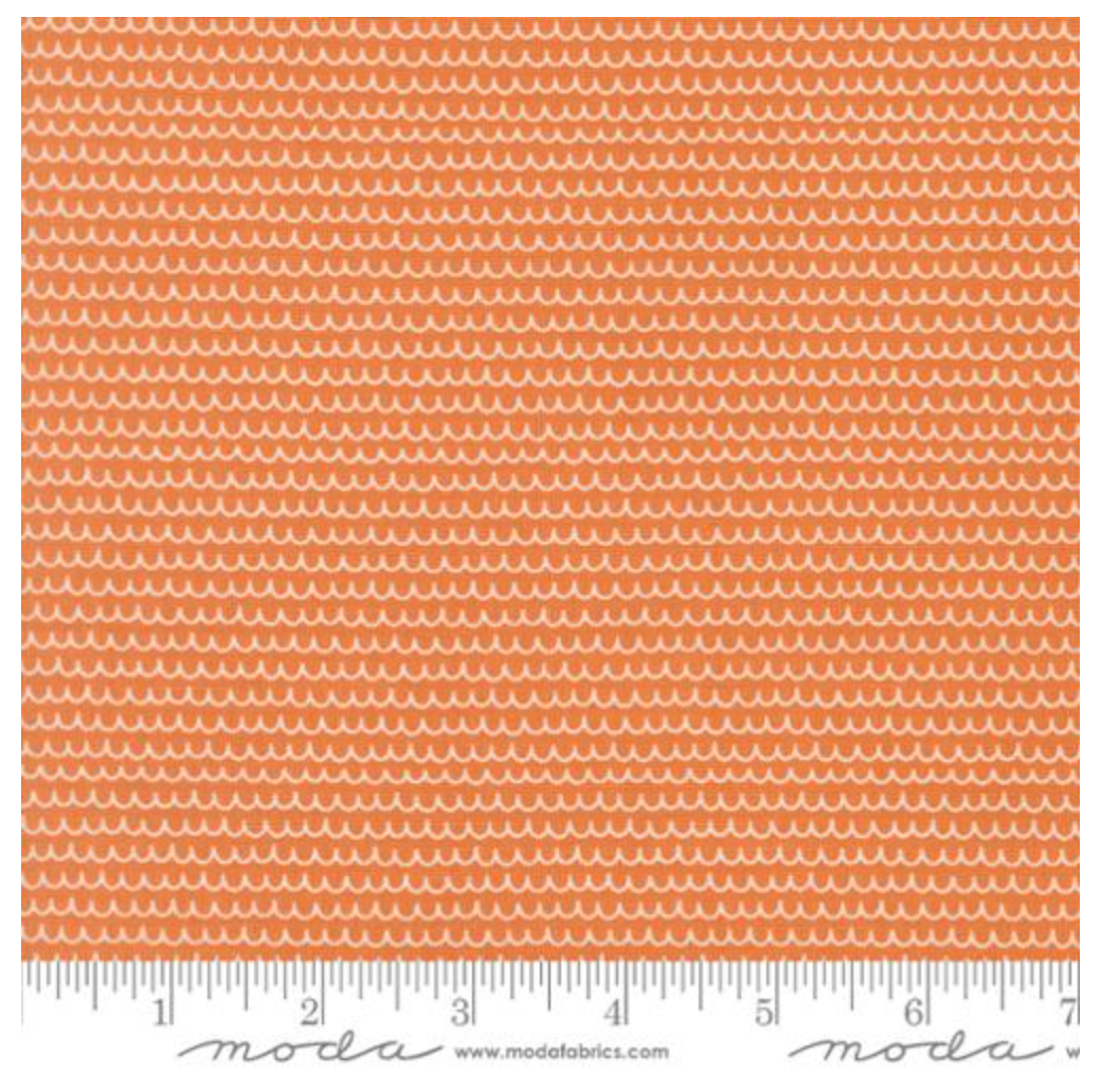 Bug Collector-Orange Squiggle Stripes