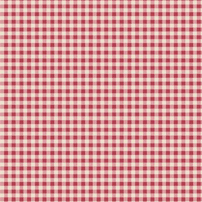 Creating Memories- Woven Gingham Red