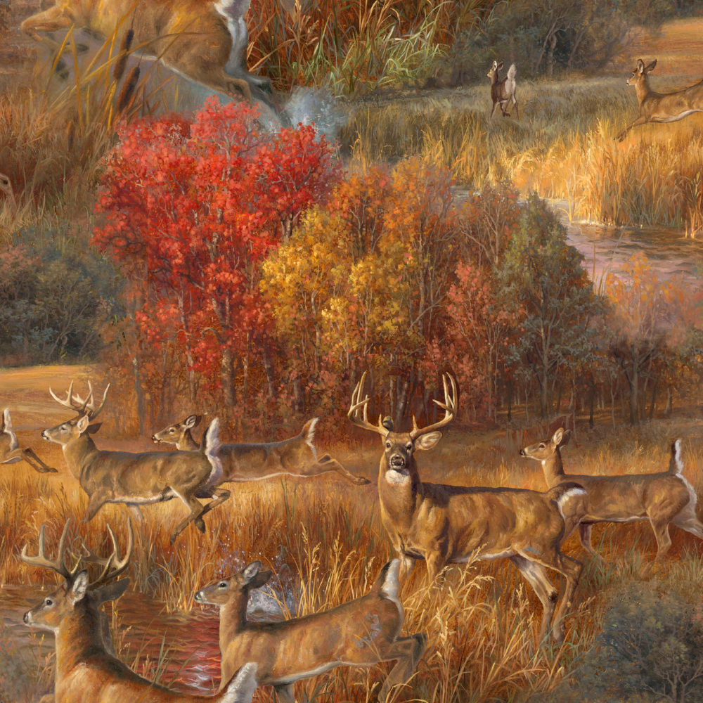 Whitetail-Country-Frolicking-Deer-22202-Multi-Color-By-3-Wishes-Fabrics.png