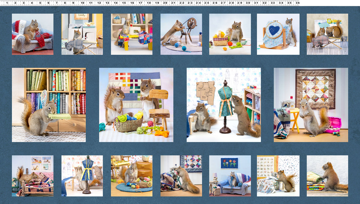 The Secret Life of Squirrels IV - Dark Denim Blocks