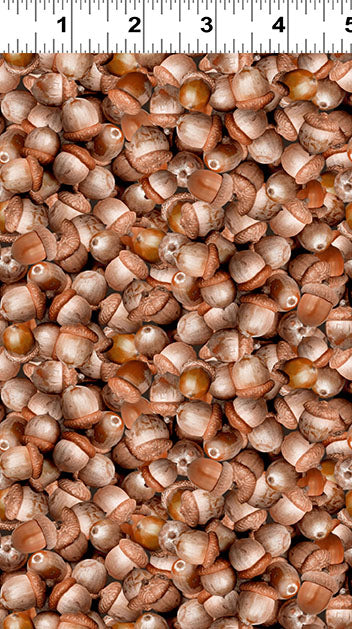 The Secret Life of Squirrels IV - Acorns Light Brown