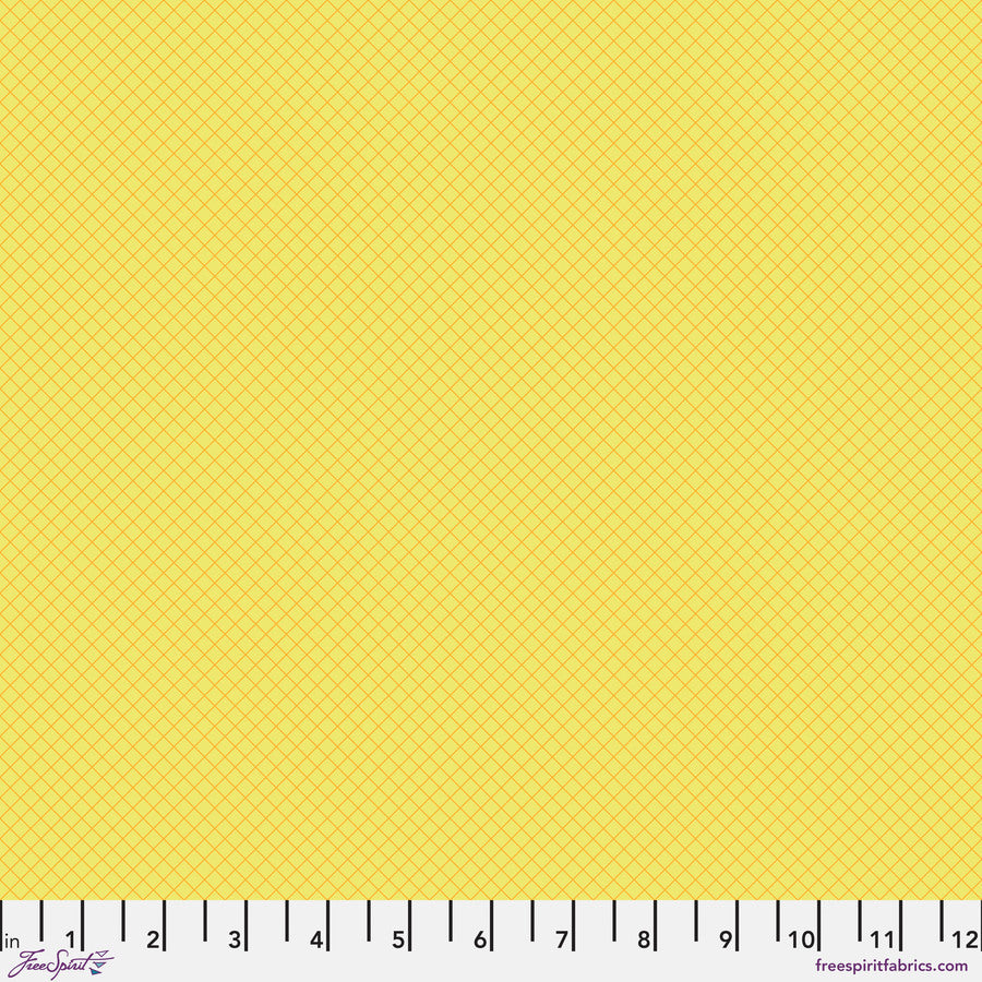 PWTP255.HIGHLIGHTER On the Grid.jpg