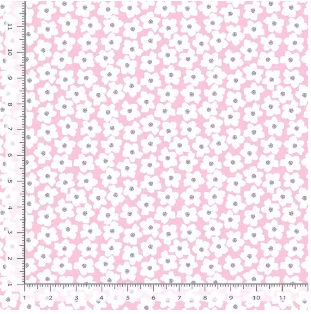 Screenshot 2026-02-11 at 12.01.53 PM.png