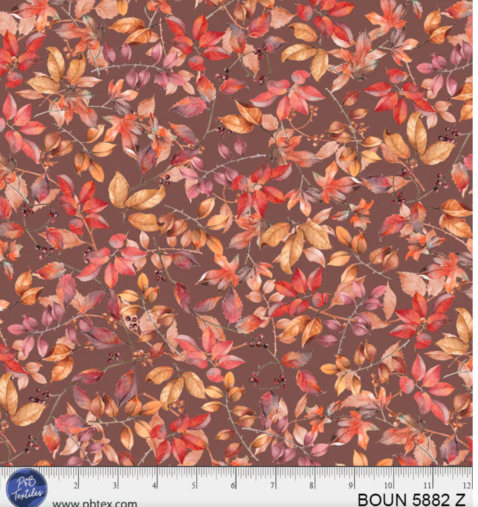 Screenshot 2025-05-23 at 11.31.20 AM.png